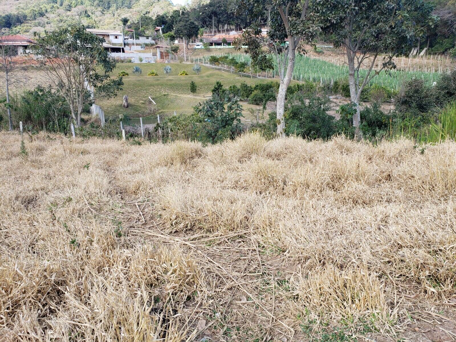 #2 - Chácara para Venda em Pedra Bela - SP